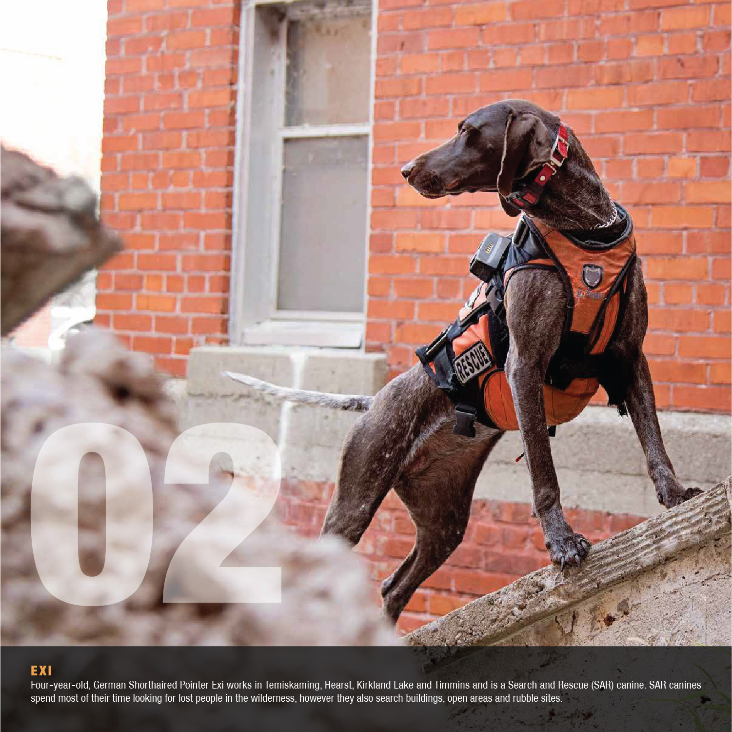 OPP Canine Unit Calendar Is Now Available 89.1 Max FM